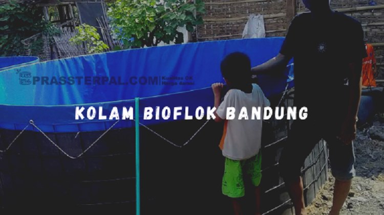 Kolam Bioflok Bandung