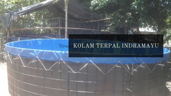 Kolam Terpal Indramayu